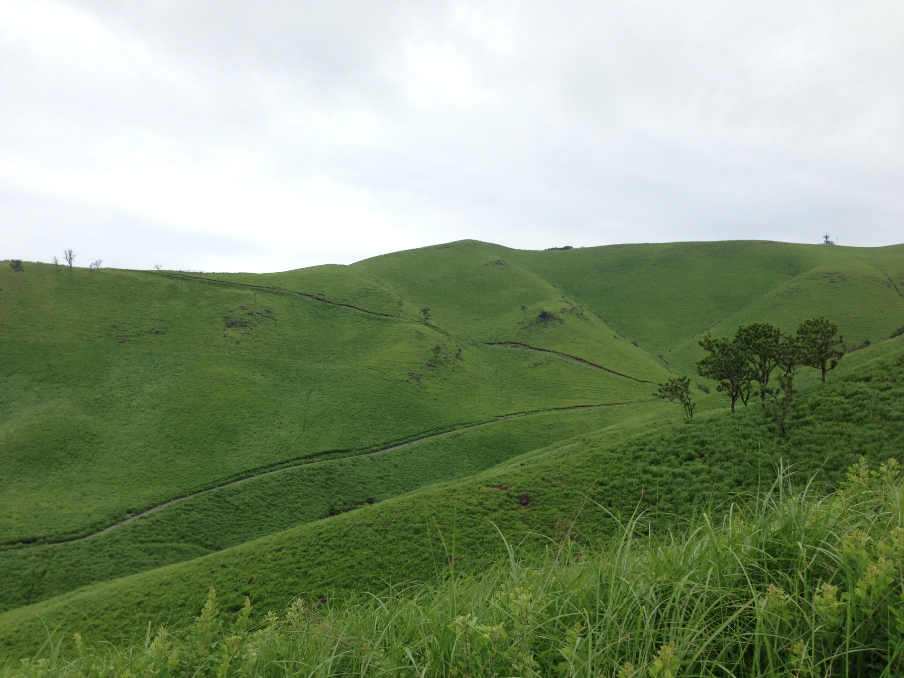 View from Minamioguni