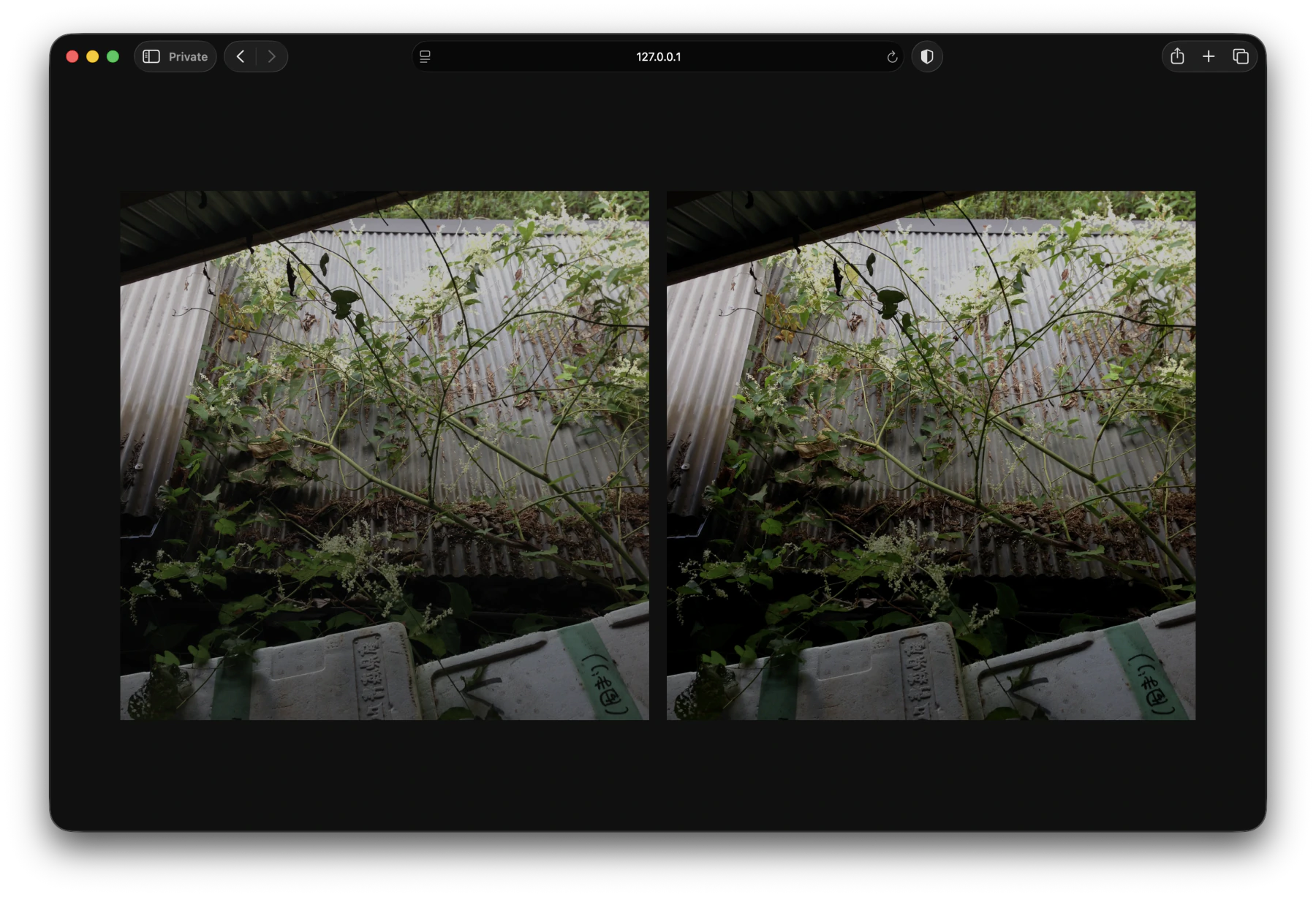 Comparison between brightness adjusted vs. brightness + contrast + saturation adjusted photos