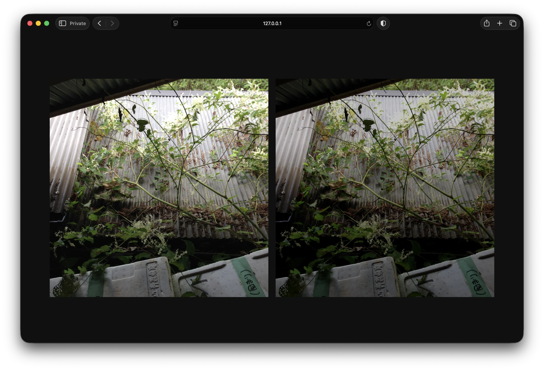 Comparison between original vs. brightness + contrast + saturation adjusted photos